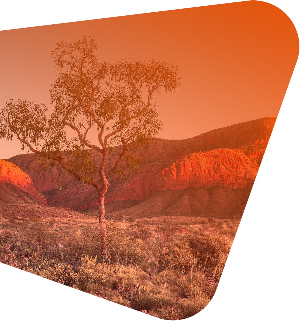 outback orange background
